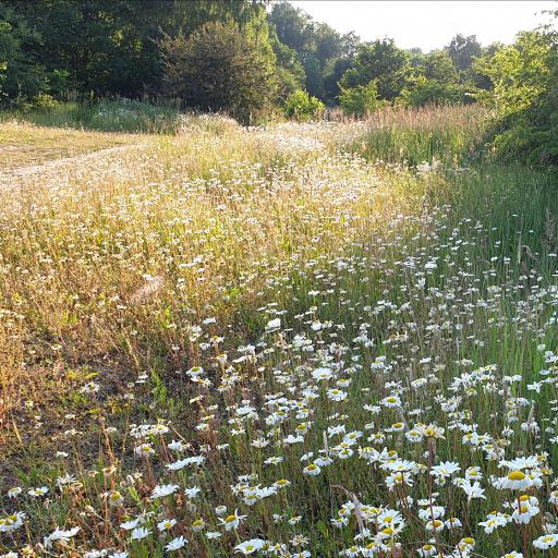VBeatner - Parents`Love - 1040 - cover
