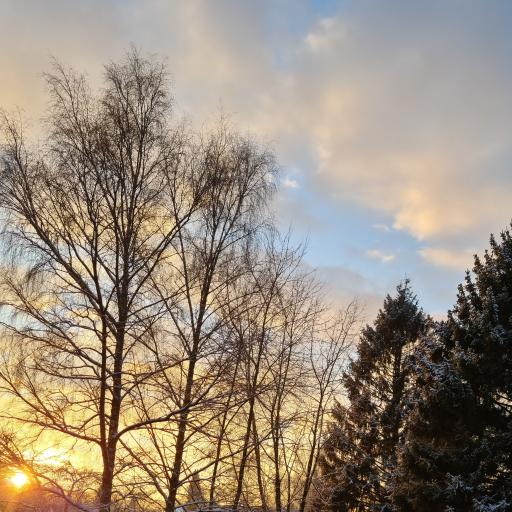 VBeatner Dobroye Utrechko