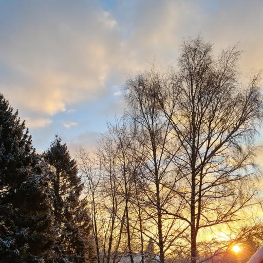 VBeatner My Lovely Sunshine