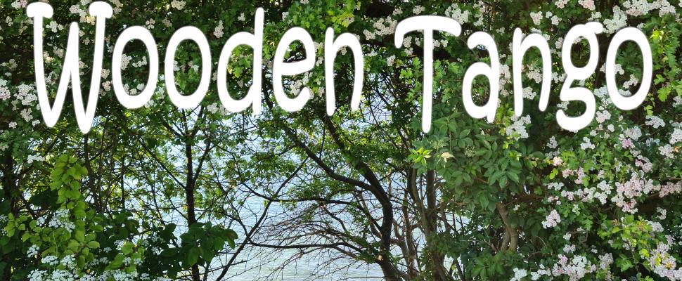 Wooden Tango picture - VBeatner - 1042