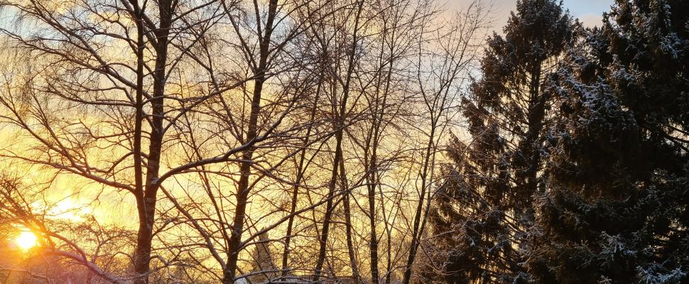 VBeatner Dobroye Utrechko